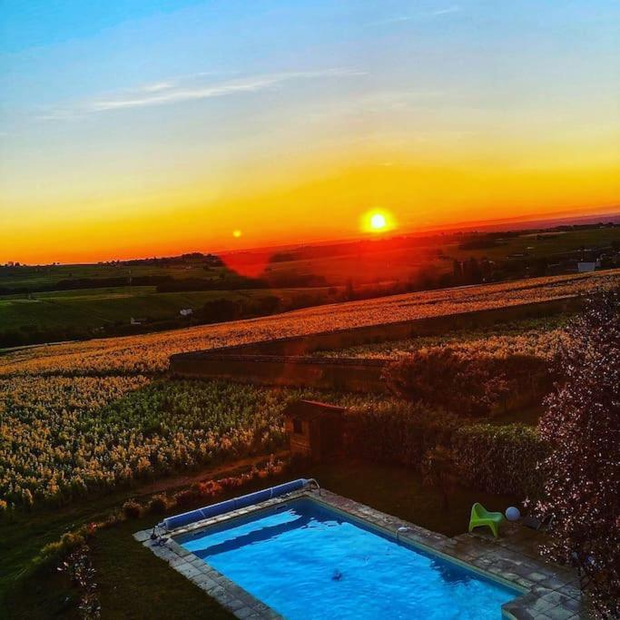Apartamento Au Coeur Des Vignes Moulin A Vent La Chapelle-de-Guinchay Exterior foto