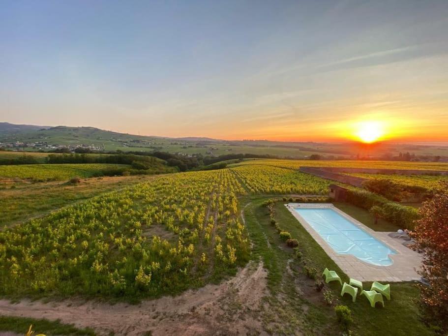 Apartamento Au Coeur Des Vignes Moulin A Vent La Chapelle-de-Guinchay Exterior foto