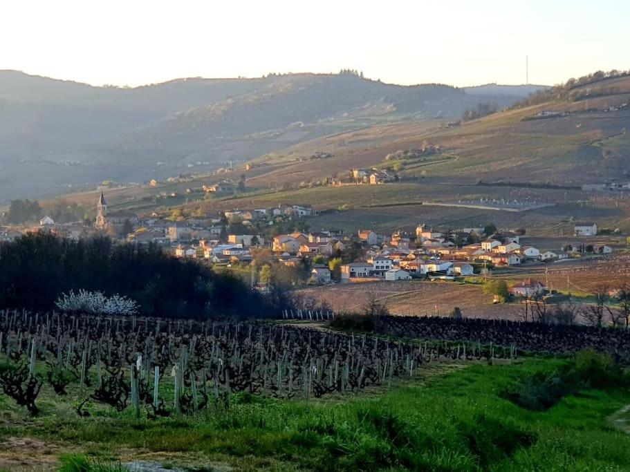 Apartamento Au Coeur Des Vignes Moulin A Vent La Chapelle-de-Guinchay Exterior foto